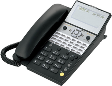 IP-24N-ST101A  VoiceCaster Vi