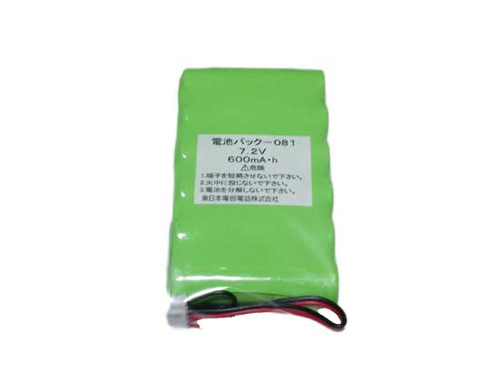 電池パック-081 （ＣＴ-デンチパック-081）　純正品
